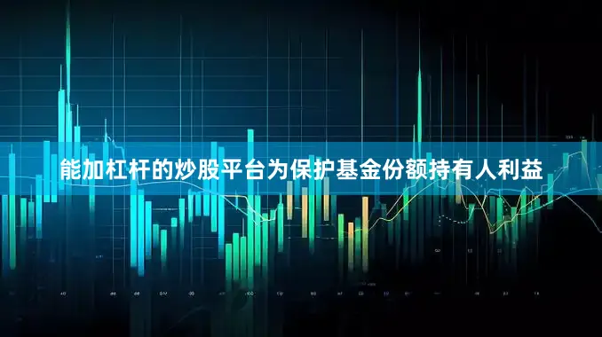 能加杠杆的炒股平台为保护基金份额持有人利益