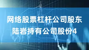 网络股票杠杆公司股东陆岩持有公司股份4