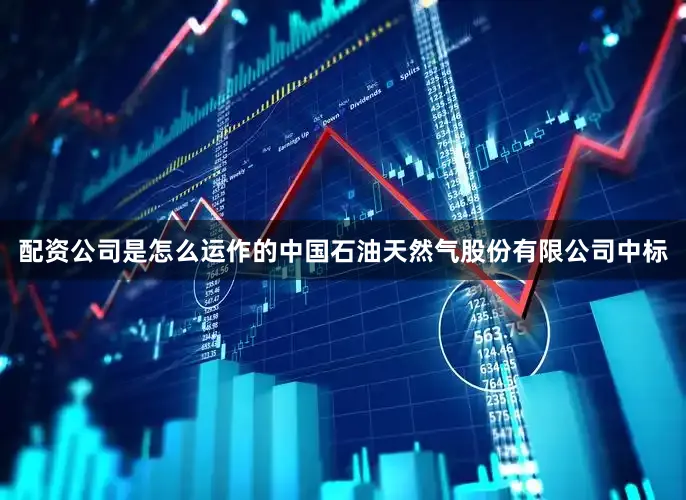 配资公司是怎么运作的中国石油天然气股份有限公司中标