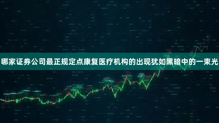 哪家证券公司最正规定点康复医疗机构的出现犹如黑暗中的一束光